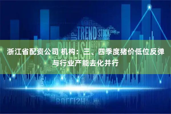 浙江省配资公司 机构：三、四季度猪价低位反弹与行业产能去化并行